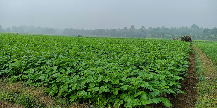 slider_distribuicao_3